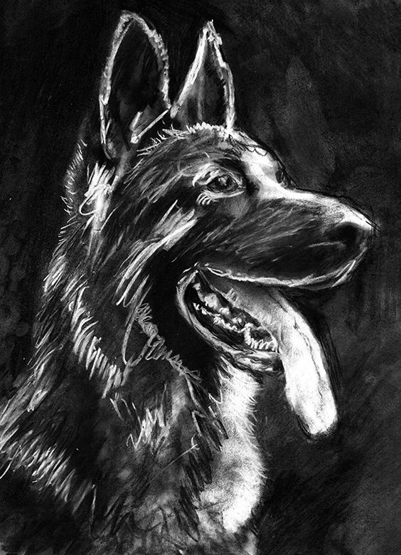 German Shepherd Gift, GSD drawing, Charcoal art portrait, Alsatian,dog gift, GSD picture ,dog wall art, German shepherd… #dogs #etsy #art