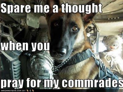 God bless our service dogs for their love and loyalty. :) They do a great deed for this country too, and need to be recognized for that as well as the men and women that serve.