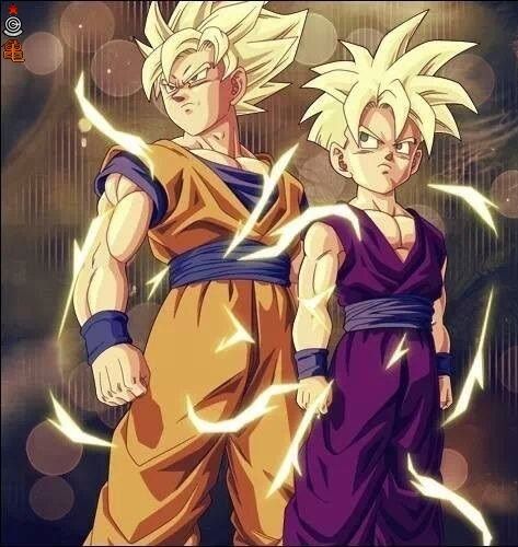 Goku and Gohan. I always loved how Gohan's Super Saiyan hair was a reflection of his father's normal hair.