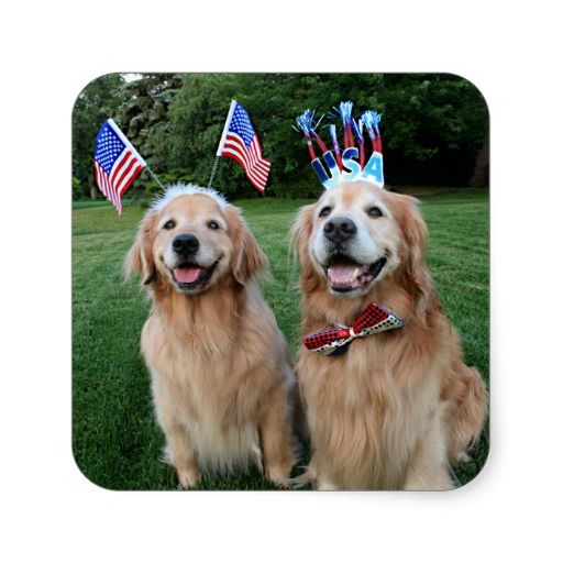 Golden Retriever Outdoor Independence Day Stickers by #AugieDoggyStore. Sold 3 sheets to a customer in Duluth, MN.