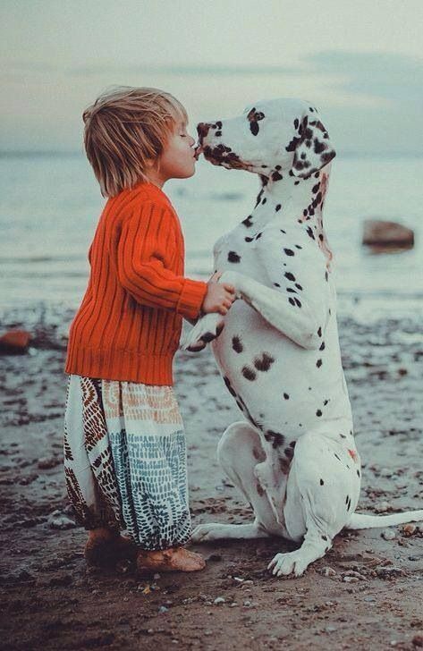 Good Morning by Fulden Arman #Photography #Dogs #Kids