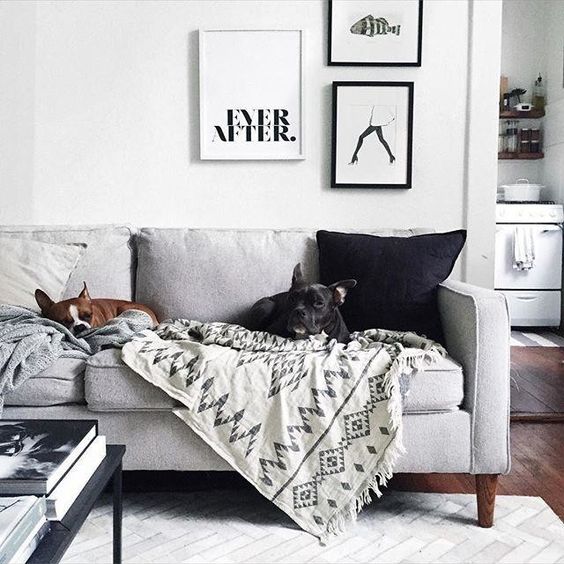 hamilton, from west elm // the perfect sofa