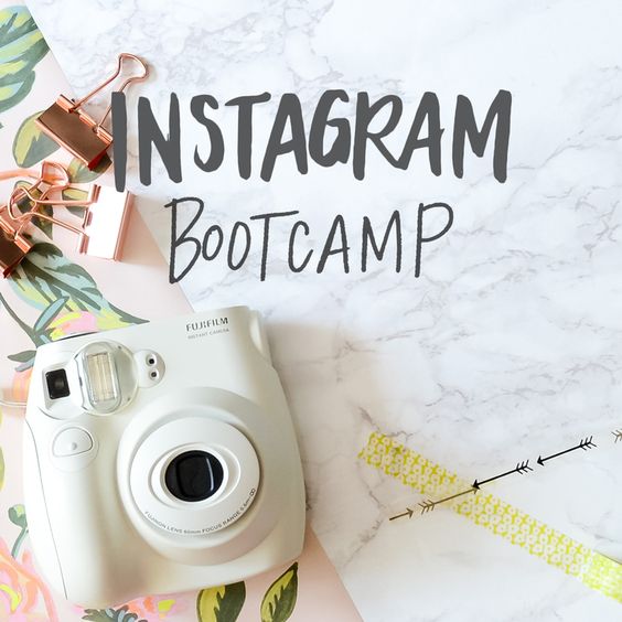 Harness the Power of Instagram for Your Small Business