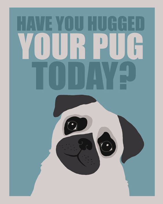 Have you hugged your pug today by artgaja on Etsy - Why, yes, I have!! :)