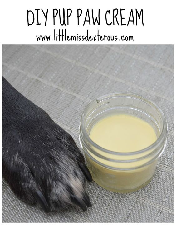 Have your pooch's paws ready to face the elements with this DIY Pup Paw Cream!