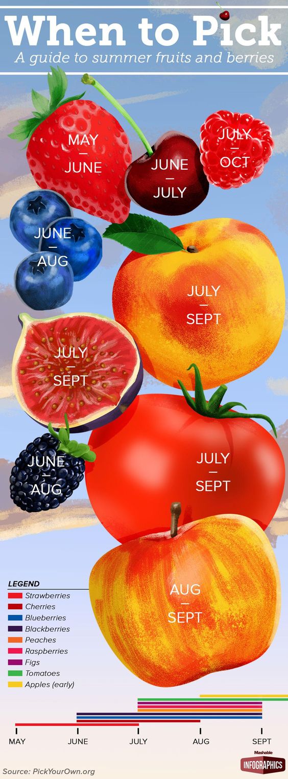 Here's when you should pick your favorite fruits this summer!