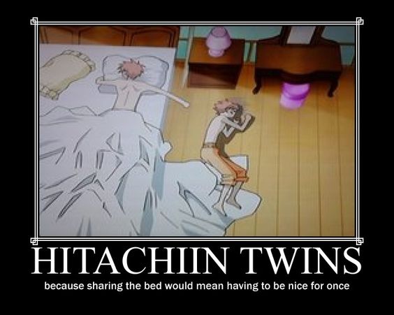 Hitachiin twins
