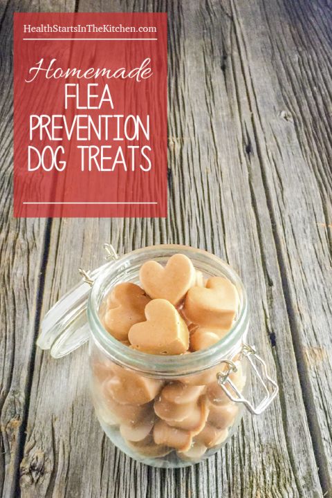 Homemade Dog Treats that Prevent Fleas ...and your dog will LOVE them! Made with just 2 healthy ingredients.