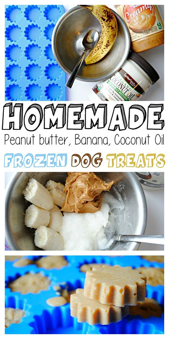 Homemade Peanut Butter Banana Coconut Oil Frozen Dog Treats