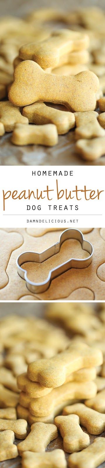 Homemade Peanut Butter Dog Treats That You Need To Try Now | DIY Beauty Fashion