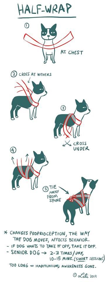 Homemade Thundershirt: how to wrap an ace bandage to help alleviate fears in dogs who suffer from noise phobia (fireworks, thunderstorms, etc.).