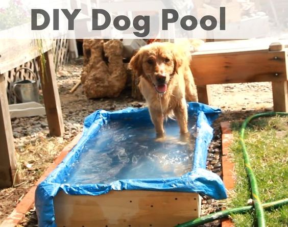 Hot pup? Cool them down quick with a homemade pool.