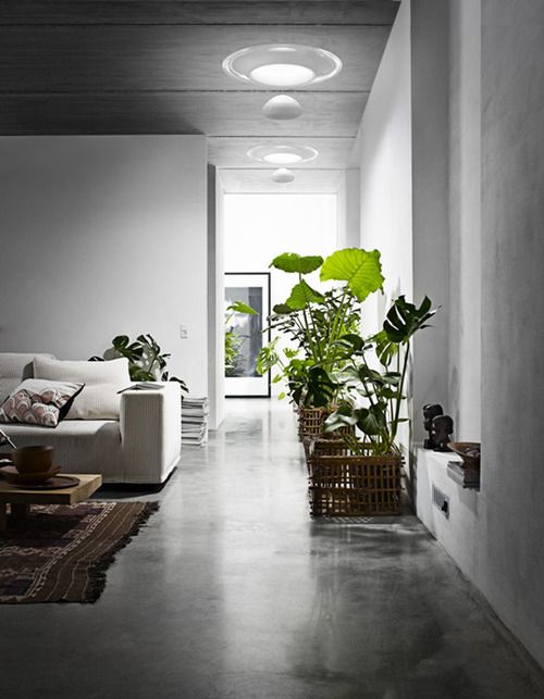 How simple and beautiful is this home? love the polished concrete!