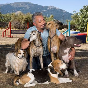How to Communicate Leadership with Calm and Assertive Energy | Cesar Millan