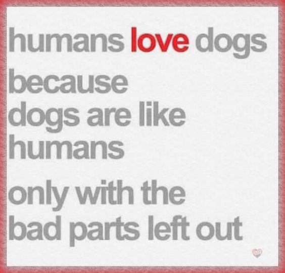 Humans love dogs because dogs are like humans only with the bad parts left out!