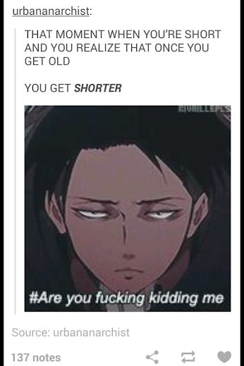 I guess Levi must be pretty old, considering how short he  But the question is, how does he keep his face still so fabulous? xD Edit: Guys. GIAZ. Why do I have so many repins on this? I'm not complaining or anything, but darn. ._.