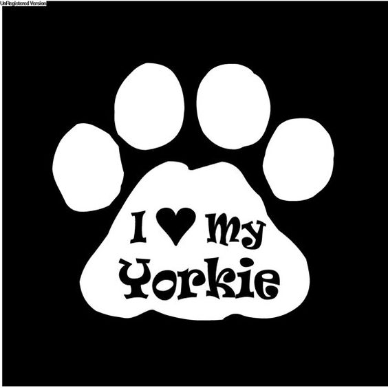 I Love my Yorkie decal sticker dog paw