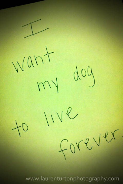 I want my dog(s) to live forever.