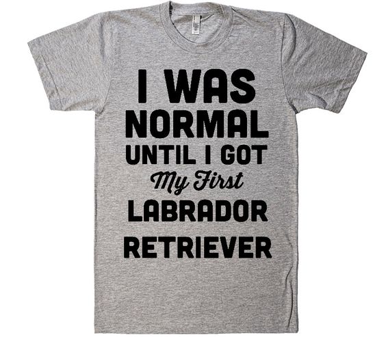 i was normal until i got my first Labrador Retriever dog t-shirt