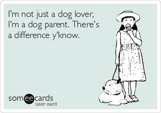 I'm not just a dog lover I'm a dog parent. There's a difference.