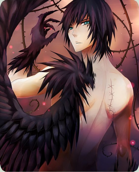 I'm zulo. I'm half angle half demon . My wings are black . One wing was stolen from me . I'm an outcast . Not welcomed with the angels or Demons