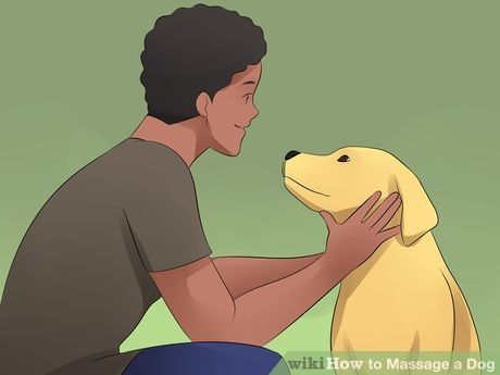 Image titled Massage a Dog Step 7