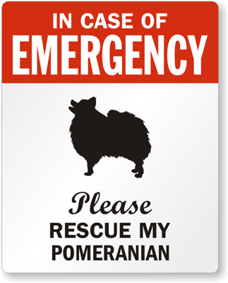 In case of emergency, please rescue my Pomeranian!