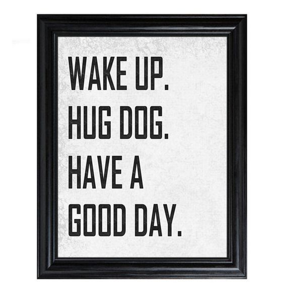 in my world:  wake up  hug dog  bring dog to work  have a GREAT day  (wish I COULD bring her to work---we wouldn't get anything done! :)