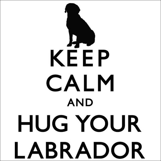 Indeed! I've told many people it tells a lot about their character if they don't like a lab :-) Mine is my best friend, 9 years and counting!