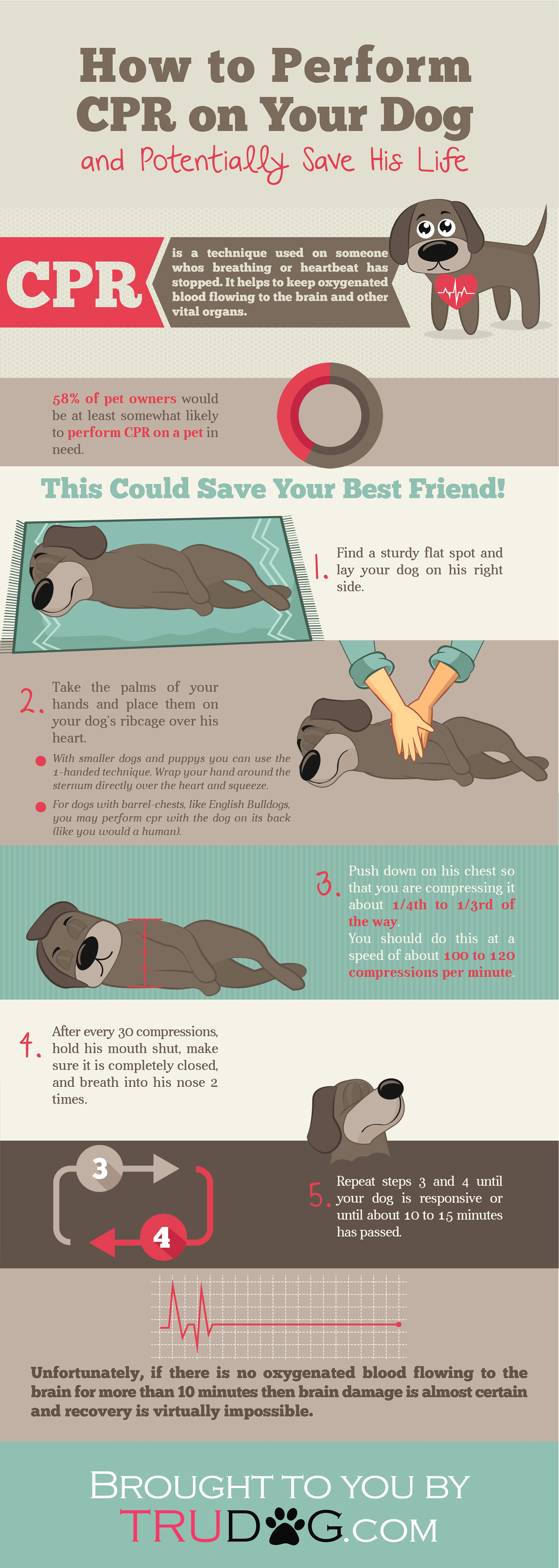 [INFOGRAPHIC] How to Perform CPR on Your Dog