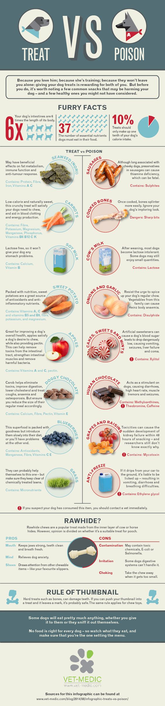Infographic of good foods and bad foods for dogs. Carrots, apples and blueberries- good! Grapes, onions, garlic and chocolate - bad!