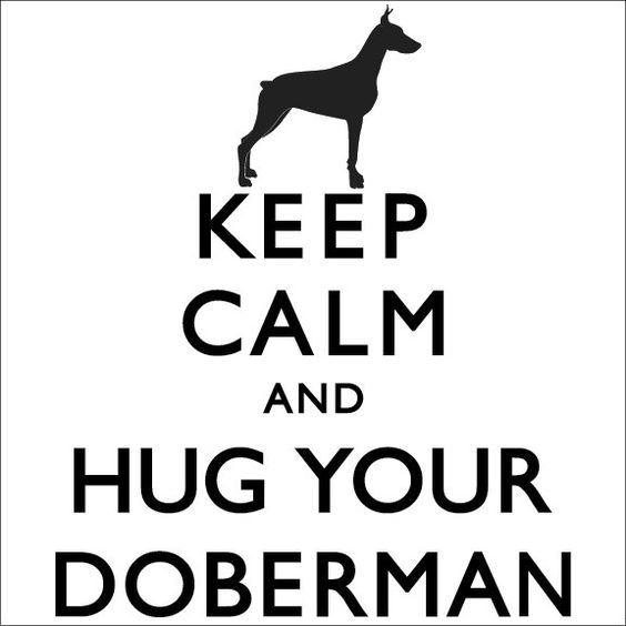 Keep Calm And Hug Your Doberman Jennifer since I know you make snide remarks about me and my dogs I pinned this just for you!