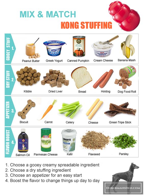 Kong Stuffing ideas for dobermans. Mix and match chart of kong foods.