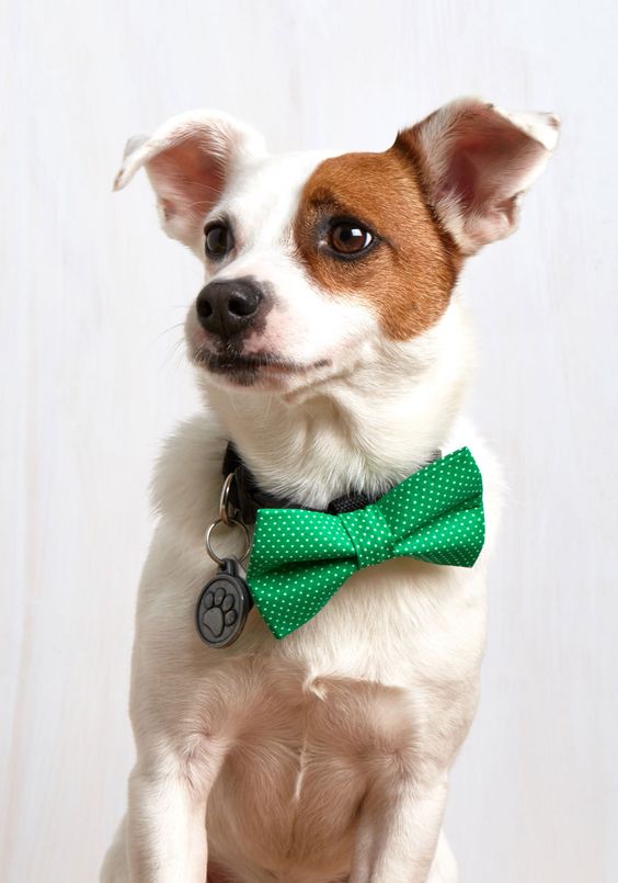 Let’s Play Fetching Dog Bow Tie in Green Dots, #ModCloth