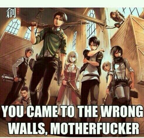 Levi, eren, and mikasa look beast, dem be like let's do this shit