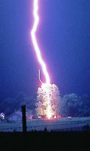 lightning strikes a tree, notice the leader on the left side of the main lightning bolt. #lightning #storms #photography