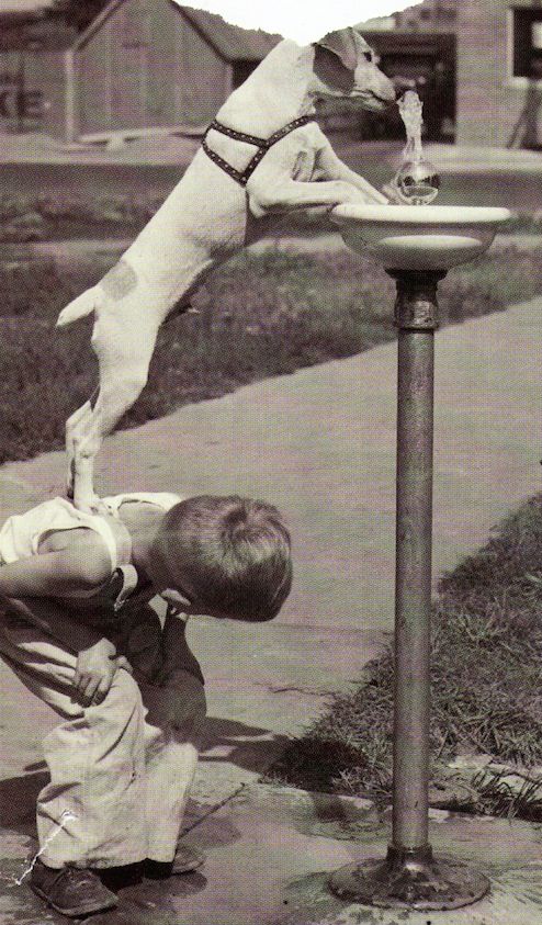 Little boy helping his thirsty dog to get a drink from the drinking fountain • (photo: National Geographic)