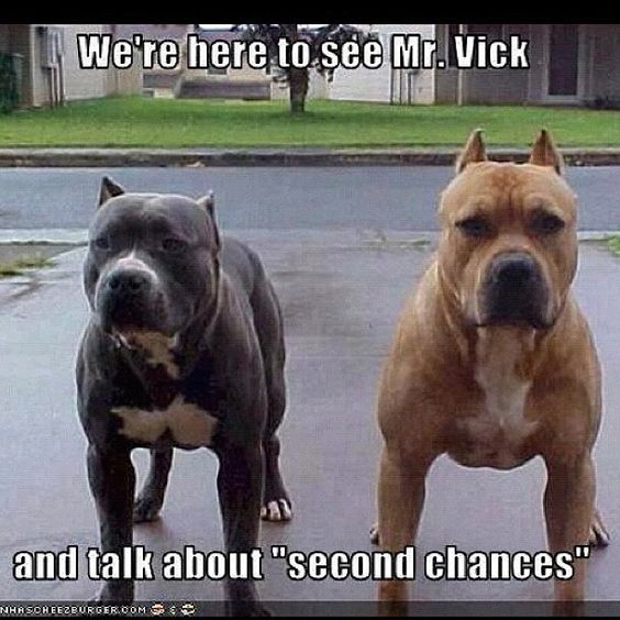 Love it. Get 'em guys !! Pitties are the Best !!