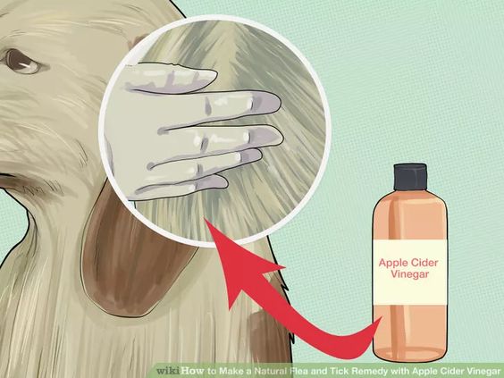 Make a Natural Flea and Tick Remedy with Apple Cider Vinegar Step 3