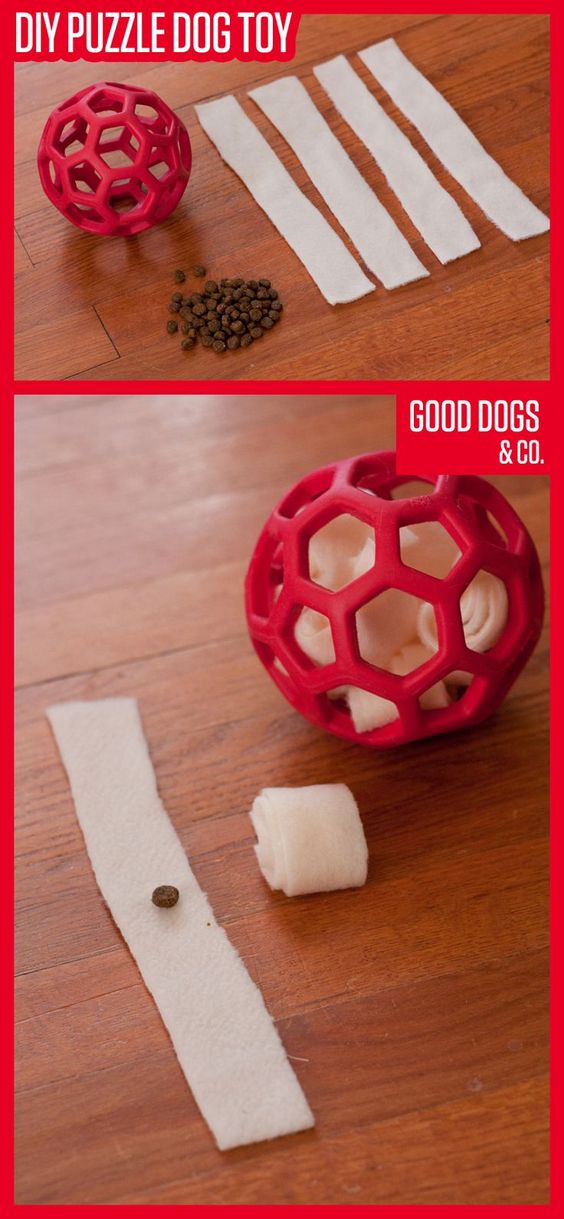 Make your dog a puzzle toy he can work on over and over again. This DIY dog toy only takes two materials, and it's easy to make!