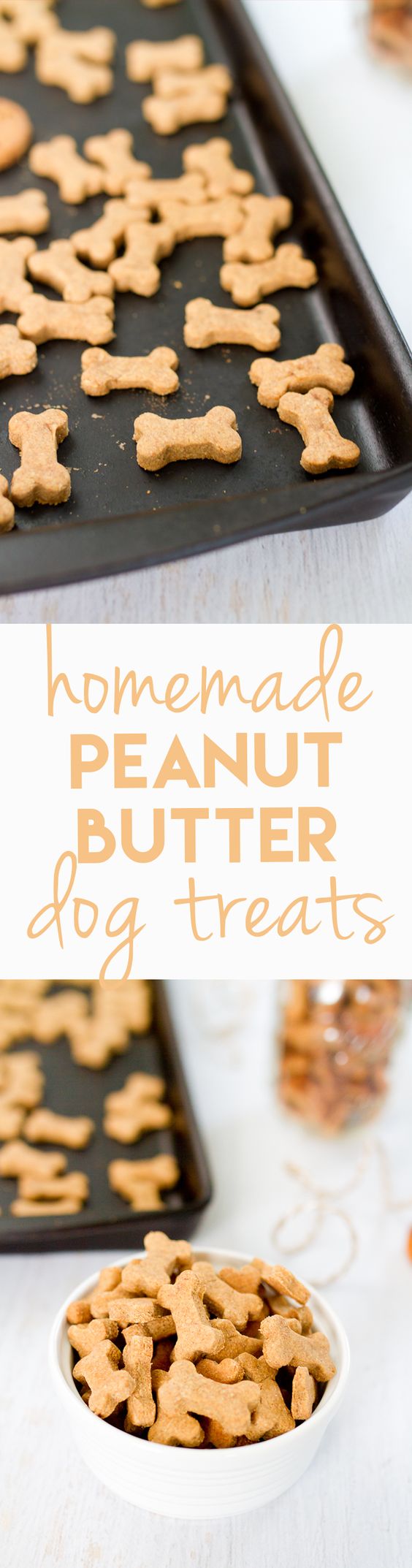 Making homemade snacks for your four-legged friend is a breeze with this simple peanut butter dog treat recipe. Pups will love the peanut butter flavor!