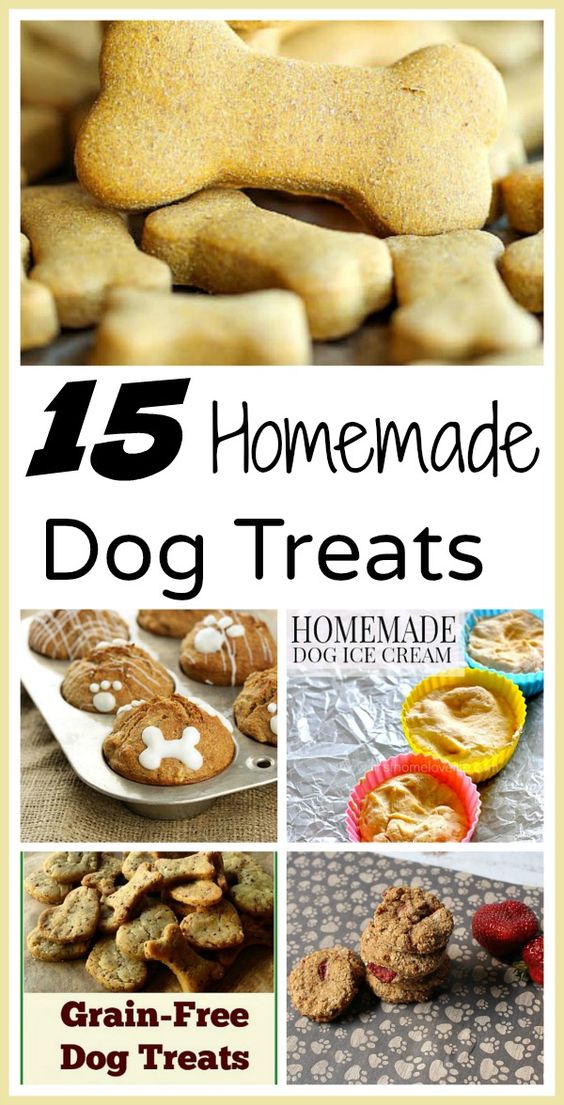 Making your own homemade dog treats doesn't take long, saves you money, and gives you peace of mind since you know what's in them (no recall worries)! Check out these 15 easy homemade dog treats you can make for your furry friend!