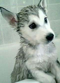 mama I do not want out the bath yet may i splash some more ?