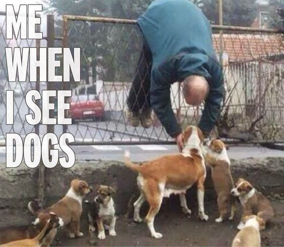 Me When I See Dogs