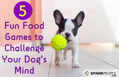 Mental stimulation is just as important for dogs as physical exercise. Here are five fun ways to challenge your dog's mind. via @SparkPeople