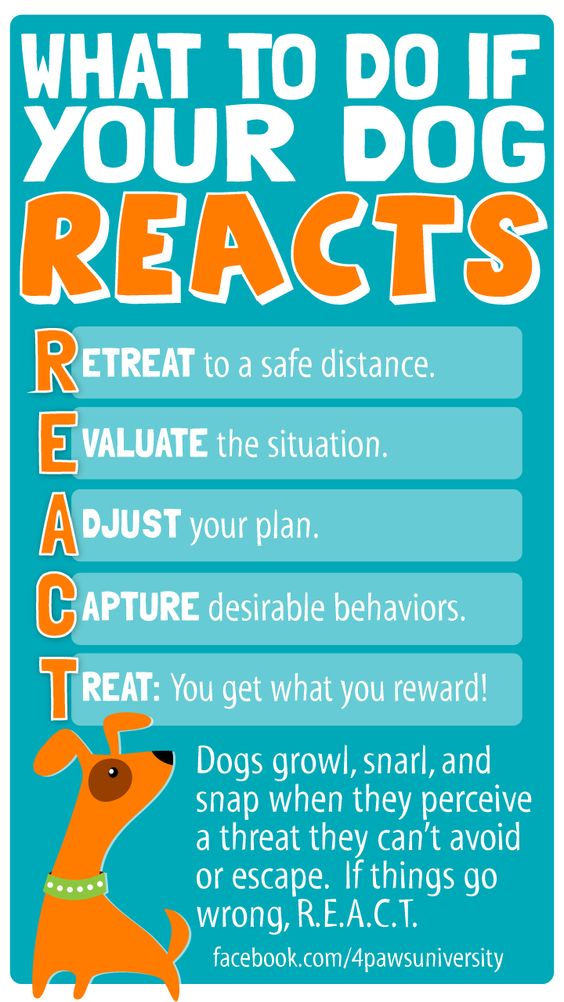  TRAINING TIP TUESDAY: Depending on the situation, the environment, the dog's history, the owner's physical abilities, etc., how to change behavior is going to vary for everyone. That said, this general advice applies to all behaviors that most dog owners consider 