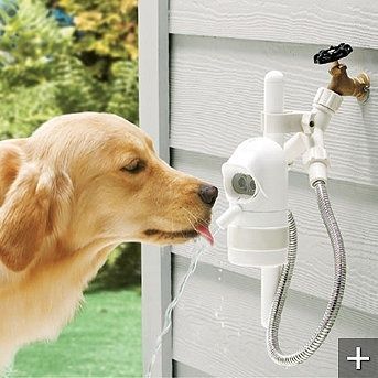 Motion Sensing Automatic Outdoor Pet Fountain this is something to look into