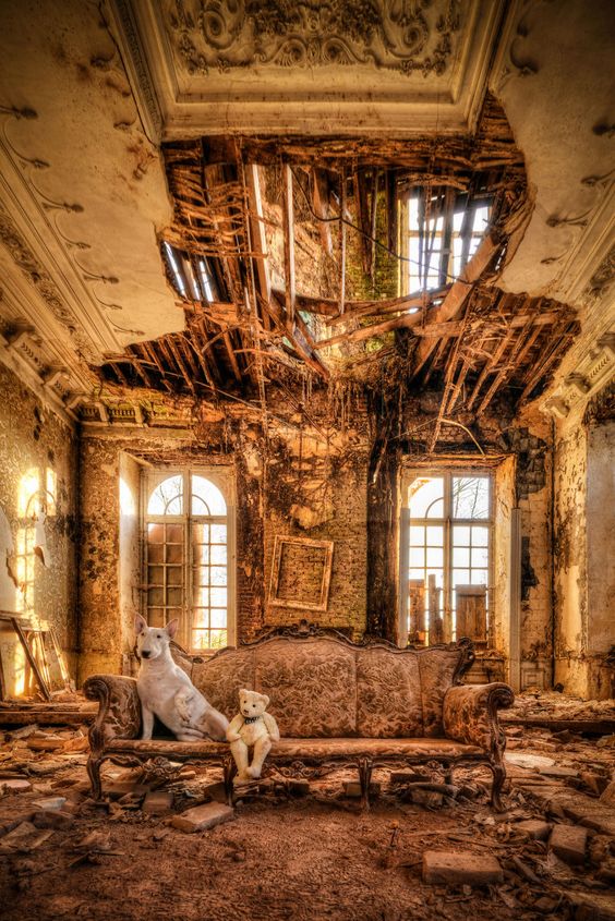 My Dog And I Explore Abandoned Places Across Europe | Bored Panda