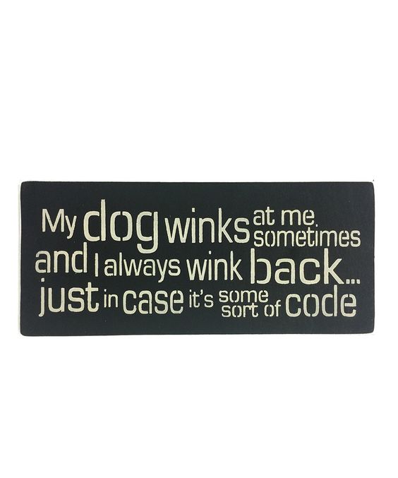 'My Dog Winks At Me Sometimes' Wall Art by Sara's Signs #zulily #zulilyfinds