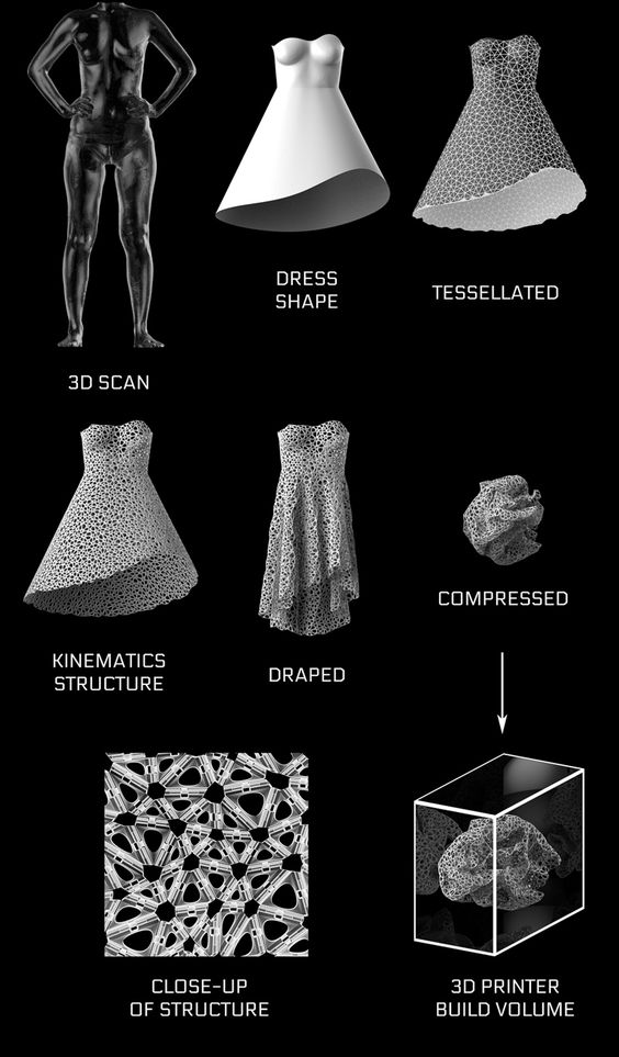 nervous system uses kinematics for wearable 4D printed forms